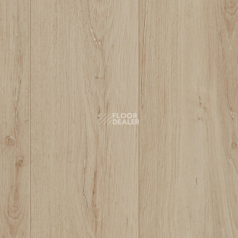 Kronotex Exquisit 8мм d80922 Дуб Бельведер фото 2 | FLOORDEALER